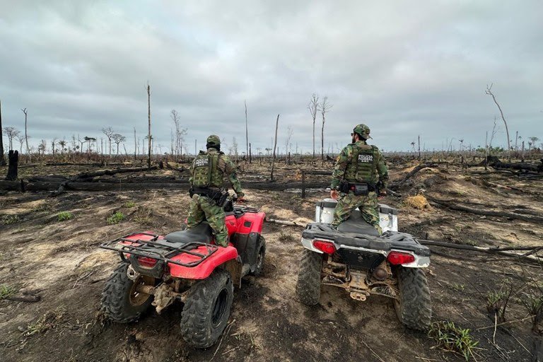 O trabalho de investigação da Polícia Federal inclui o envio de peritos especializados aos locais afetados e o uso de tecnologia avançada para identificar os pontos de origem dos incêndios - Foto: PF / Divulgação